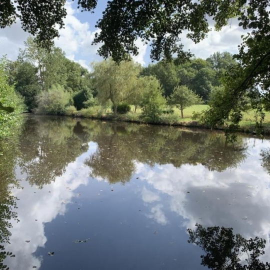 CHEVALIER IMMOBILIER : Terrain | SAINT-AMAND-MONTROND (18200) | m2 | 16 000 € CHEVALIER IMMOBILIER : Terrain | SAINT-AMAND-MONTROND (18200) | m2 | 16 000 €