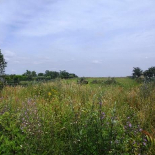  CHEVALIER IMMOBILIER : Terrain | SAINT-GEORGES-DE-POISIEUX (18200) | 0 m2 | 54 000 &euro; 