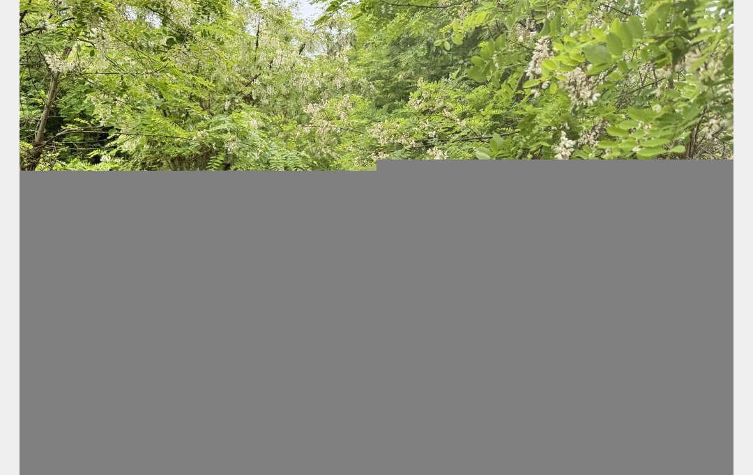 CHEVALIER IMMOBILIER : House | DREVANT (18200) | 90 m2 | 104 000 € 