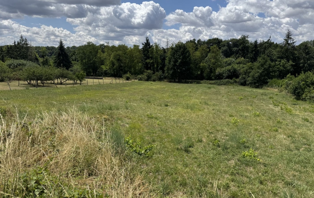 CHEVALIER IMMOBILIER : Terrain | DREVANT (18200) | 0 m2 | 38 500 &euro; 