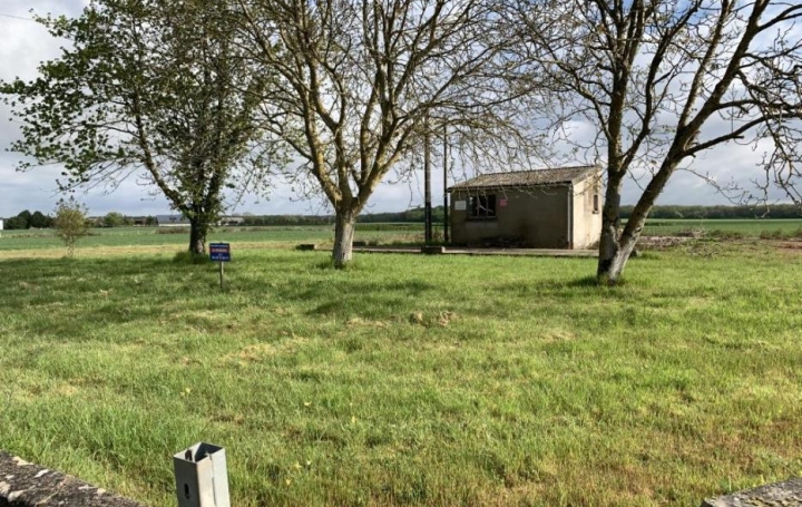  CHEVALIER IMMOBILIER Terrain | UZAY-LE-VENON (18190) | 0 m2 | 28 000 € 