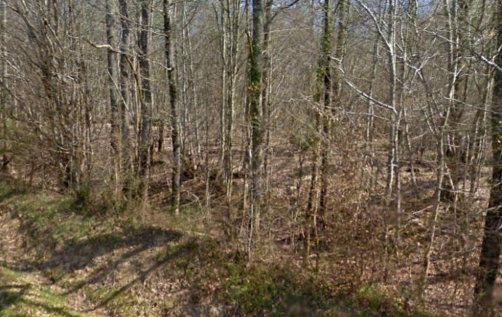 CHEVALIER IMMOBILIER : Terrain | SAINT-AMAND-MONTROND (18200) | 0 m2 | 23 000 € 