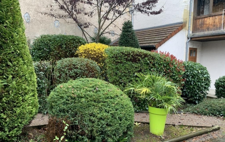  CHEVALIER IMMOBILIER Appartement | SAINT-AMAND-MONTROND (18200) | 55 m2 | 42 000 € 