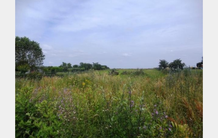 CHEVALIER IMMOBILIER : Terrain | SAINT-GEORGES-DE-POISIEUX (18200) | 0 m2 | 54 000 &euro; 