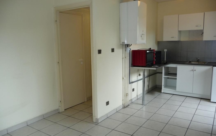 CHEVALIER IMMOBILIER : Apartment | GRENOBLE (38000) | 37 m2 | 500 € 